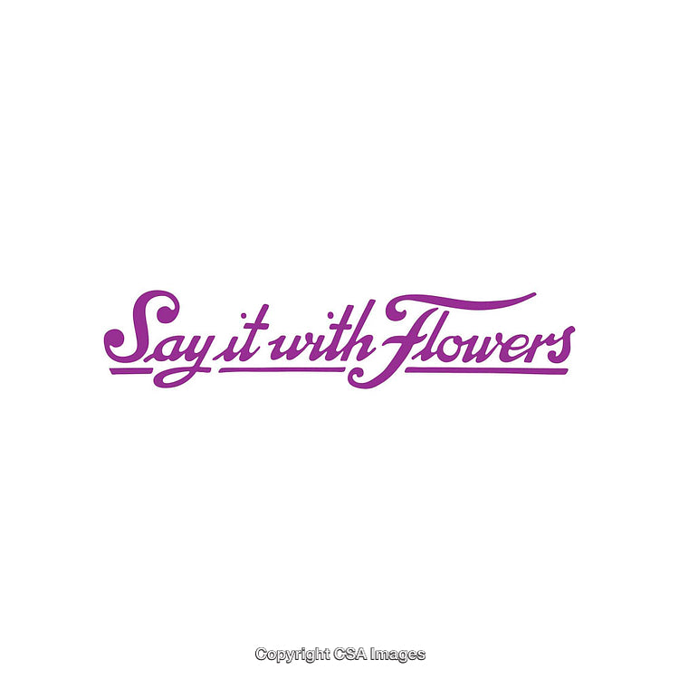 Purple Calligraphy Text on White Background Saying 'Say It With Flowers'