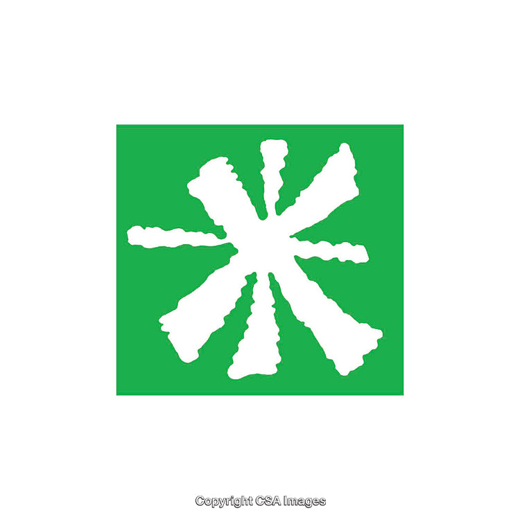 Abstract Green and White Geometric Shape on Clean White Background