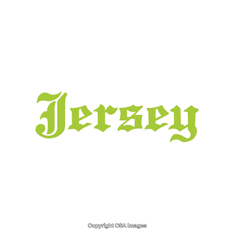 Green Stylized Typography Displaying 'Jersey' on White Background