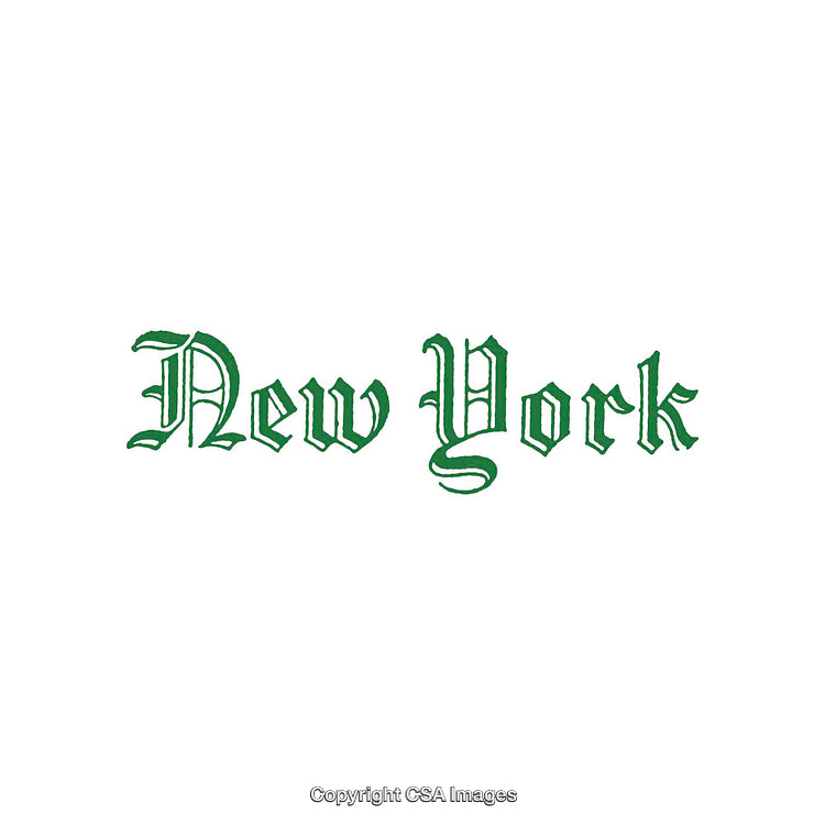 Elegant Green Calligraphy of New York on White Background