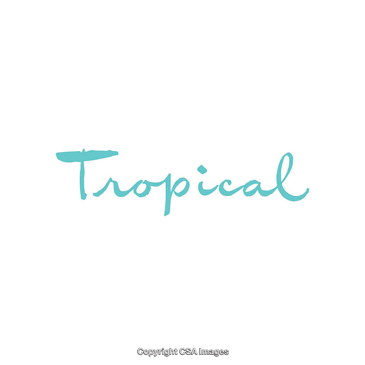 Minimalistic Typography Display Featuring the Word Tropical in Blue Handwriting