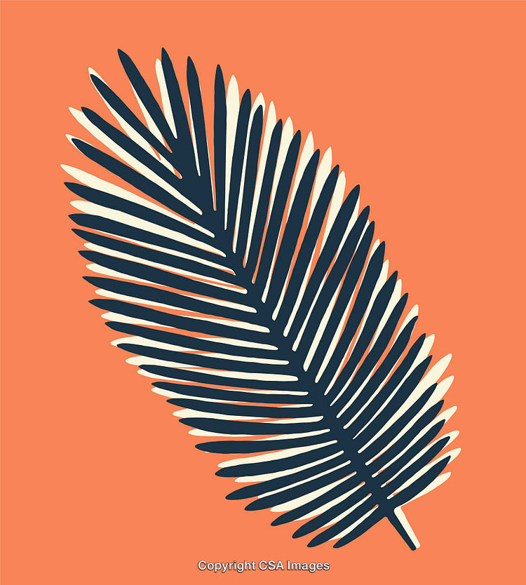 Minimalist Palm Leaf Illustration on Bold Orange Background