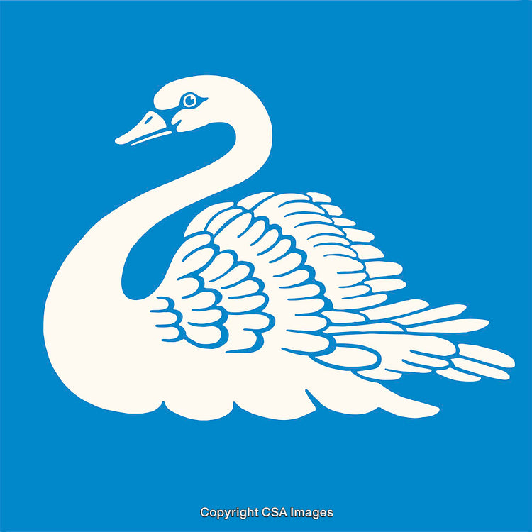 Elegant Blue and White Swan Illustration in Line Art Style