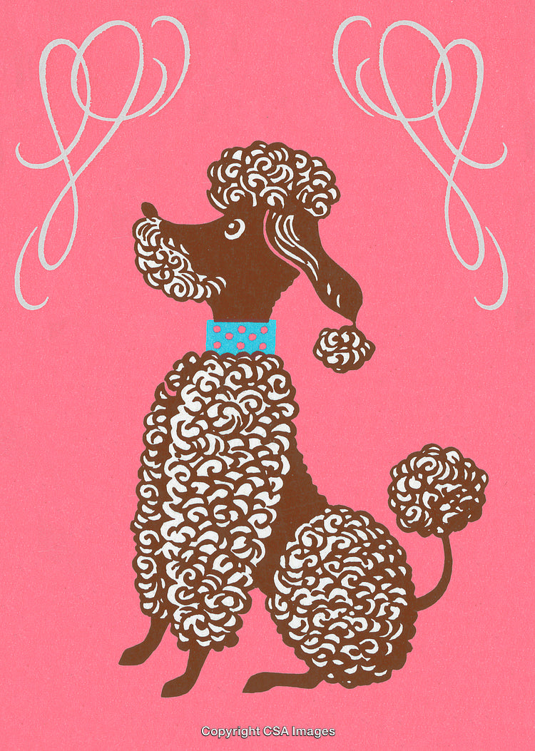 Stylized Retro Illustration of a Poodle on a Pink Background