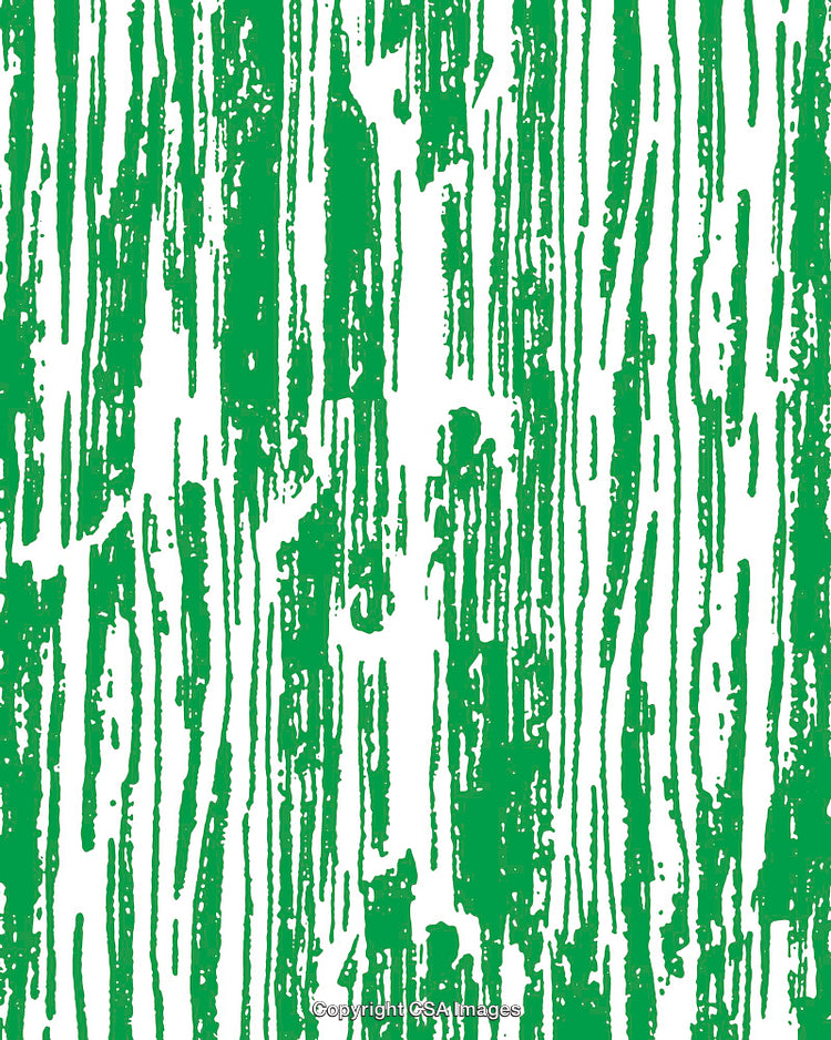 Green and White Linear Abstract Background Texture Design