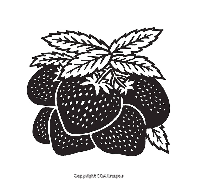 Black and White Line Art Illustration of Strawberries with Leaves
