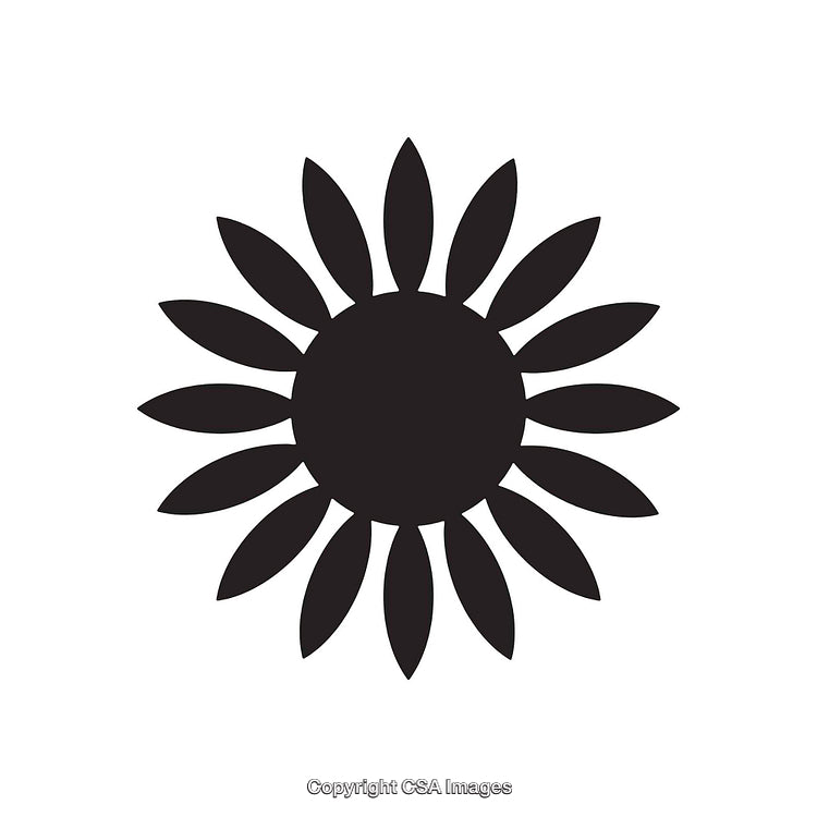 Silhouette of Simple Sunflower Symbol with Black Petals