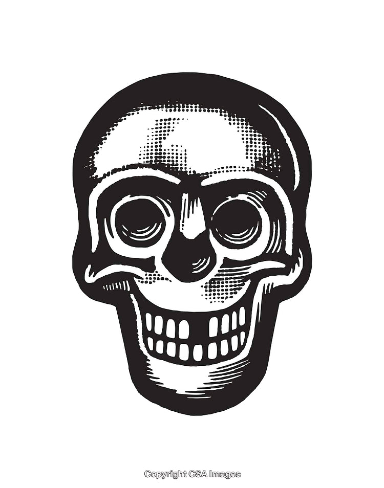 Black and White Artistic Skull Line Art Illustration