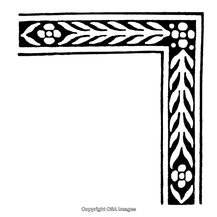 Ornate Black and White Border with Floral and Leaf Patterns