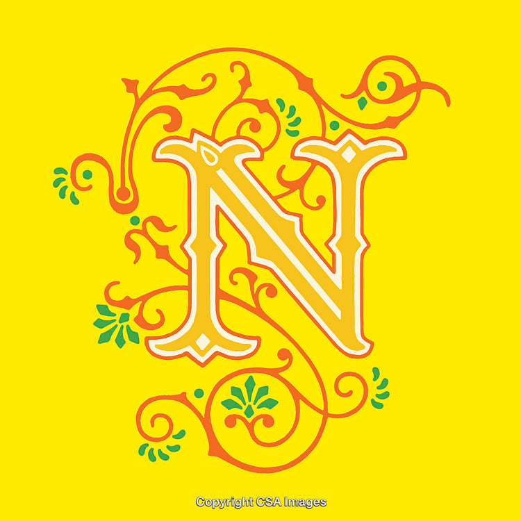 Ornate Letter N With Decorative Flourishes and Elegant Design Elements