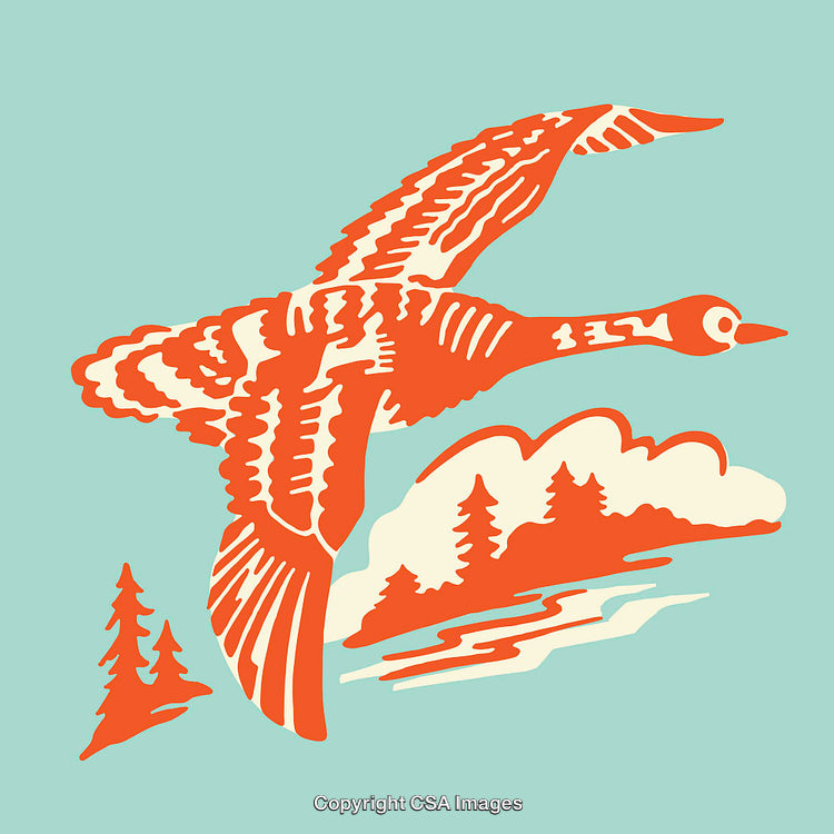 Illustrated Flying Goose with Scenic Nature Elements in Vibrant Colors