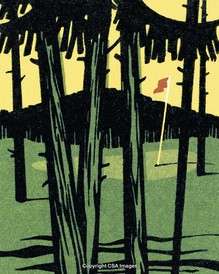 Golf Flag Positioned Amidst a Forest on a Bright Sunny Day