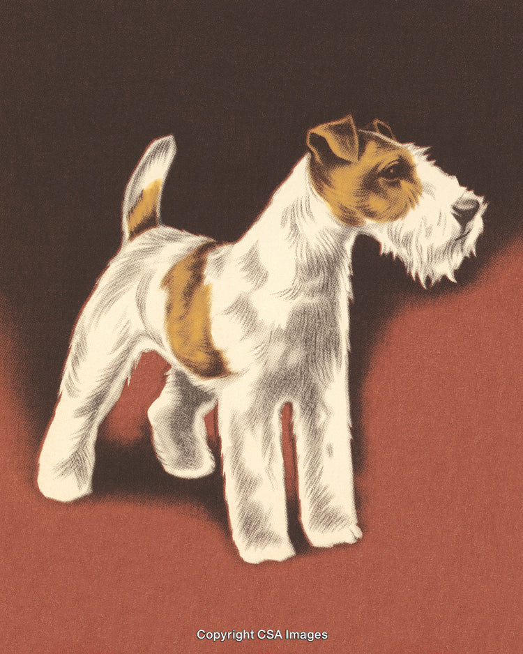 Artistic Illustration of a Fox Terrier Dog on Dark Background