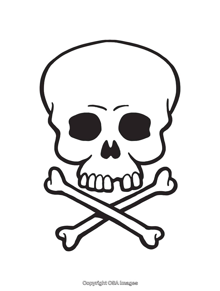 Black and White Skull with Crossbones Line Art Illustration