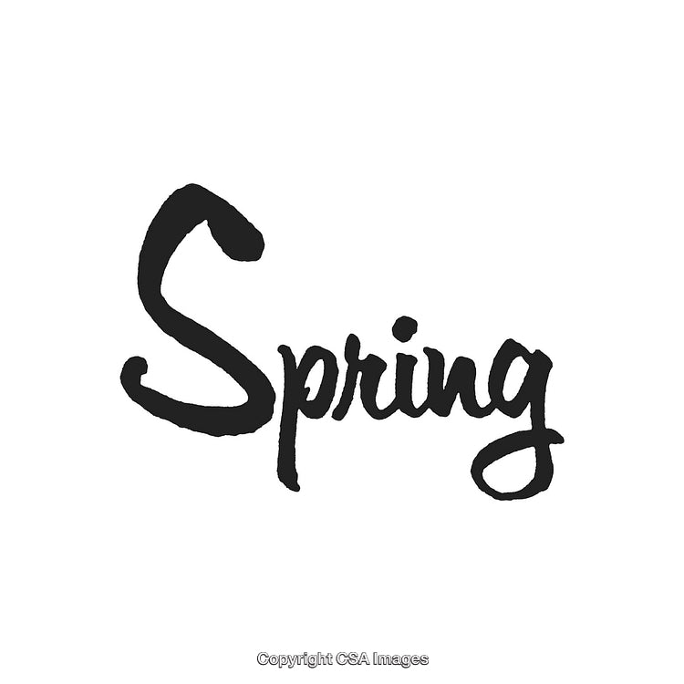 Elegant Handwritten Spring Text Artwork on White Background