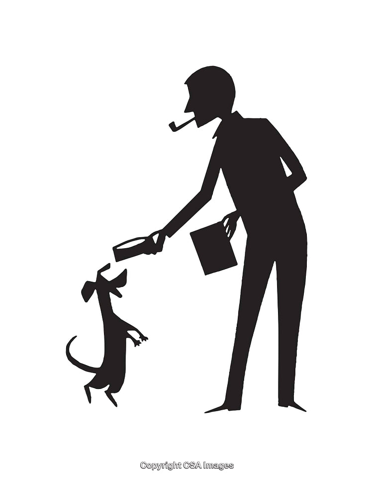 Silhouette of a Man and Dog Engaged in Activity