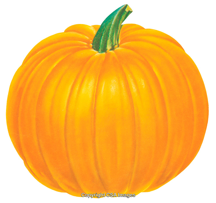 Bright Orange Pumpkin with Green Stem on White Background