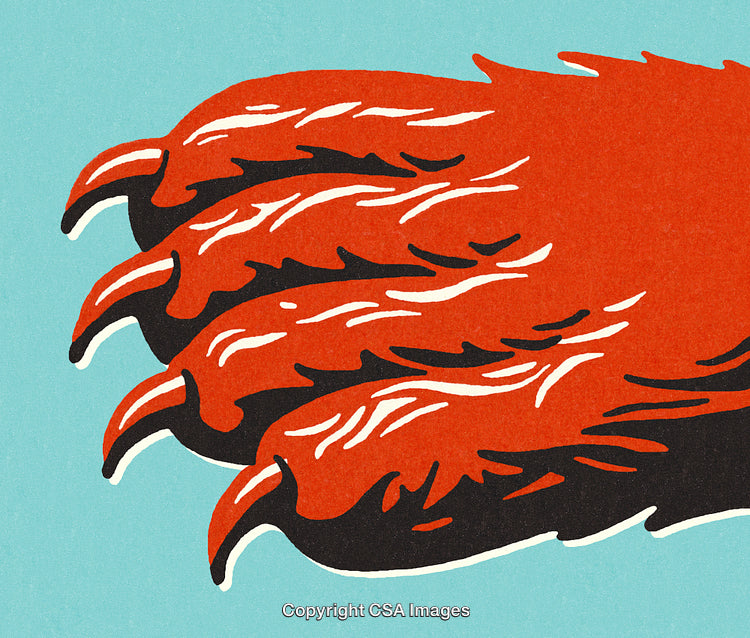 Vibrant Illustration of Clawed Animal Paw with Bright Colors and Bold Lines