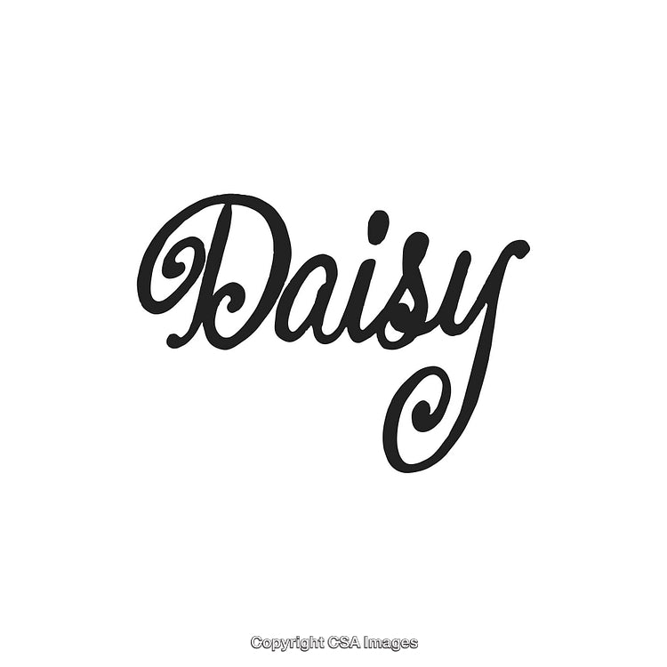 Stylish Daisy Text Logo with Calligraphic Font and Elegant Design