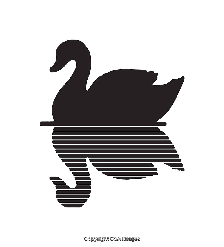 Elegant Black and White Swan Illustration with Striped Reflection