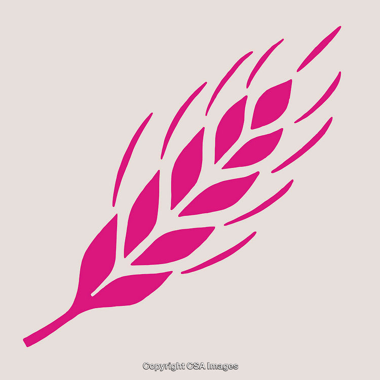 Stylized Pink Grain Ear Illustration on a Neutral Background