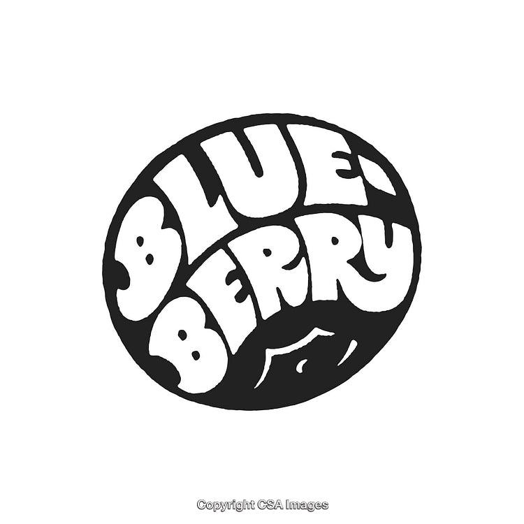 Black and White Graphic Logo Featuring Bold Text Blueberry Shape