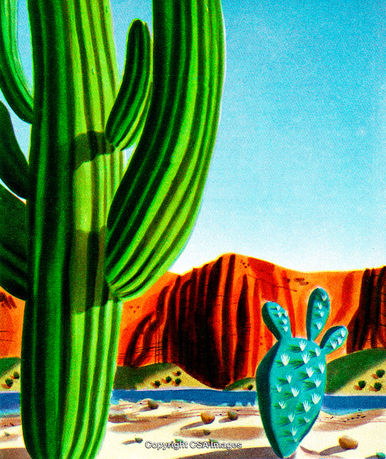 Colorful Desert Scene with Cacti and Rocky Landscape Under Clear Blue Sky