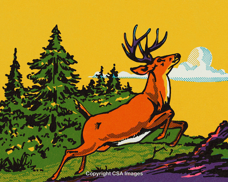 Vibrant Illustration of a Majestic Forest Scene Featuring A Graceful Deer