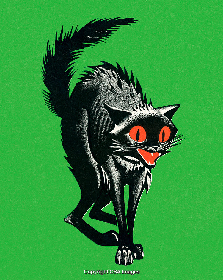 Frightened Black Cat Illustration with Green Background and Red Eyes Design