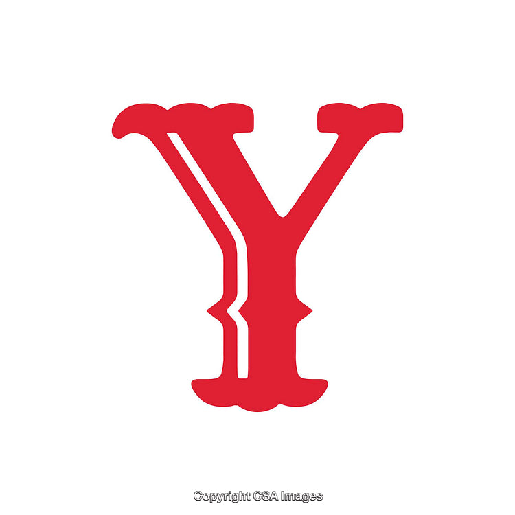 Stylized Red Letter Y Over a Clean White Background