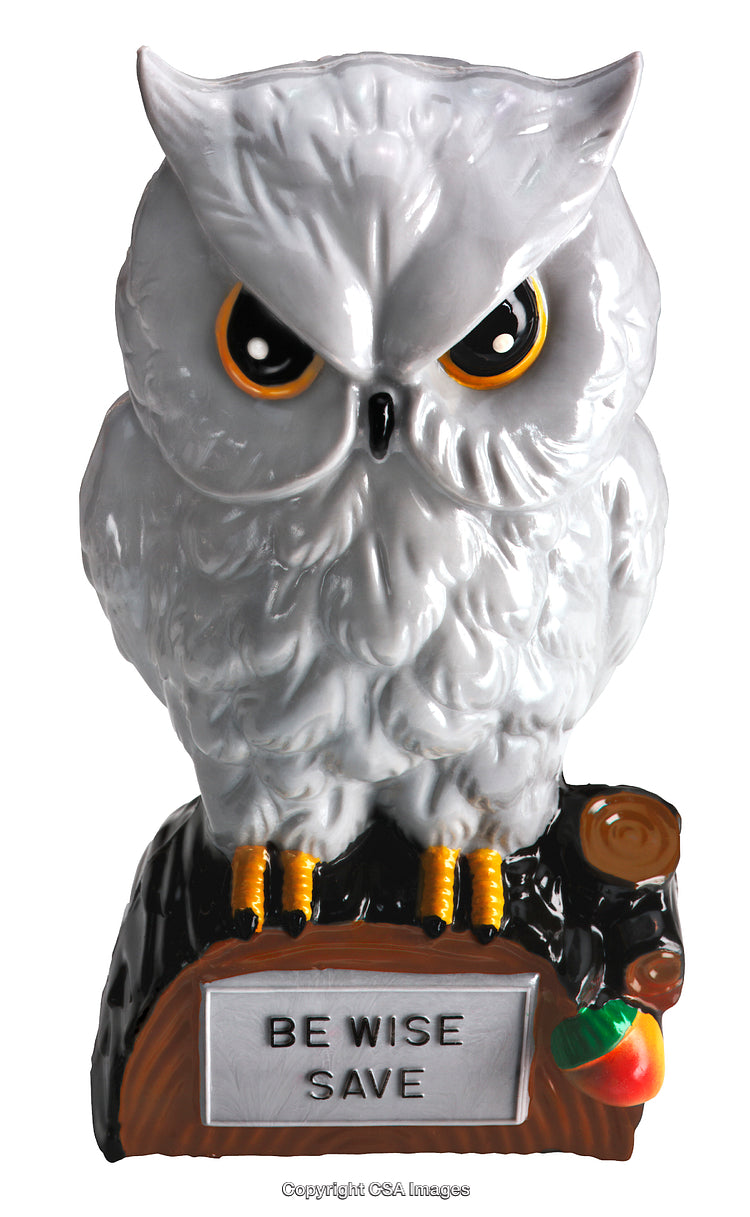 Ceramic Owl Figurine With Savings Message 'Be Wise Save' Displayed