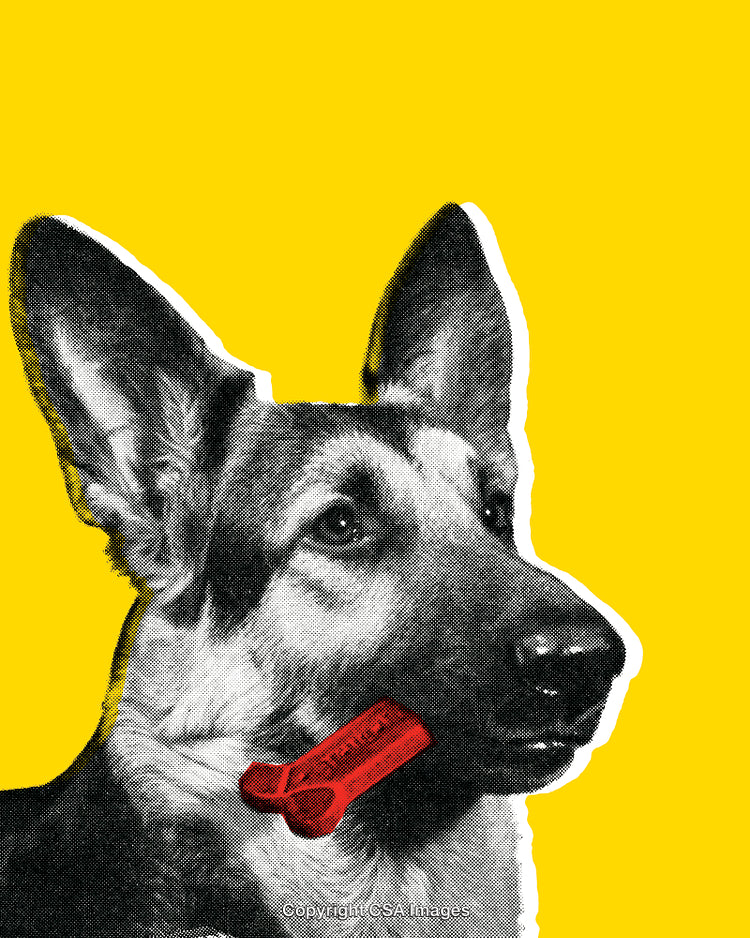 Playful German Shepherd Artwork with Yellow Background and Red Bone