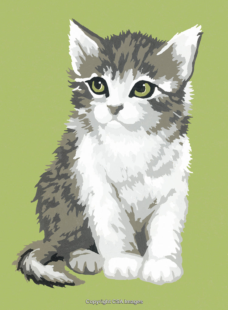 Adorable Paint by Numbers Kitten on a Soft Green Background