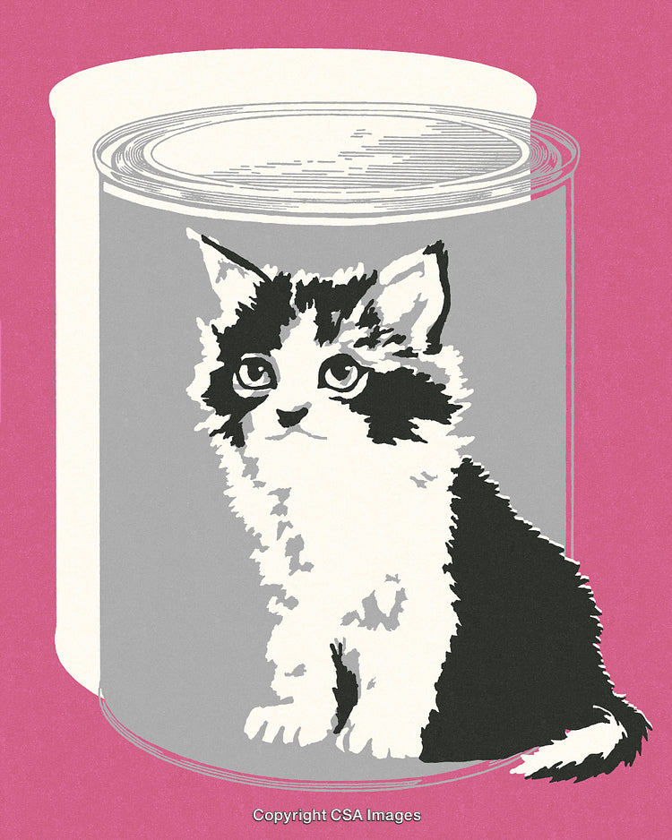 Stylized Black and White Kitten Illustration on a Pink Background