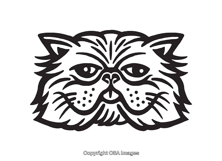 Black and White Line Art Illustration of a Persian Cat Face