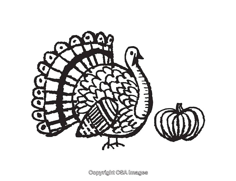 Black and White Line Art of Turkey and Pumpkin Illustration