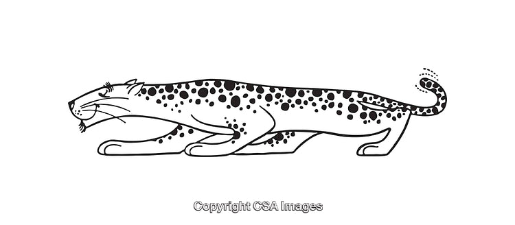 Black and White Sketch of a Leopard in Motion on White Background