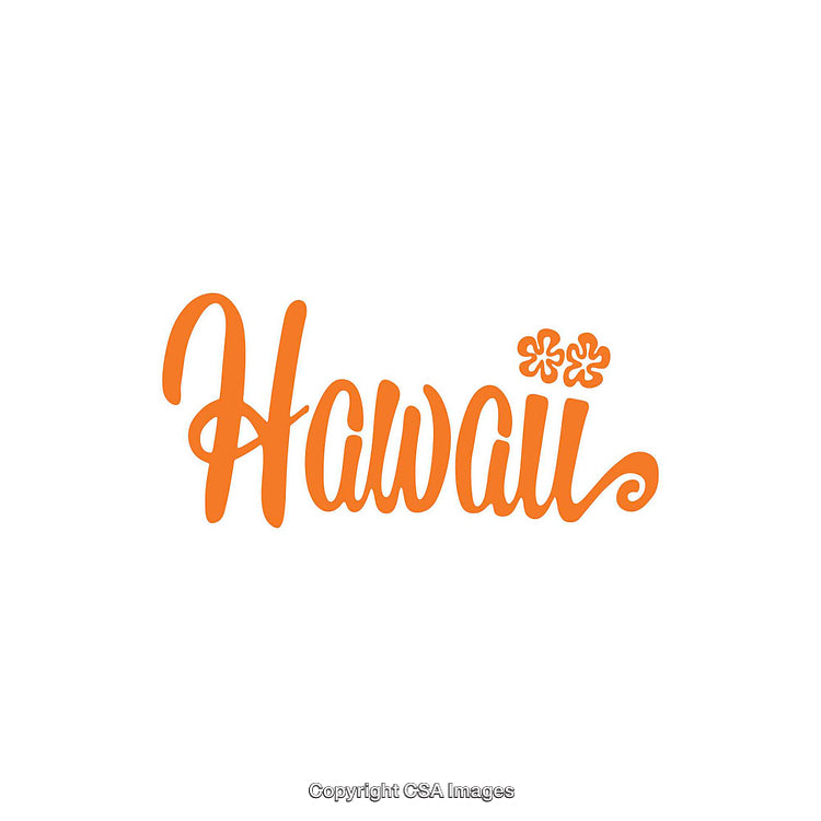 Hawaii Script Text in Orange With Decorative Flourishes and Floral Design