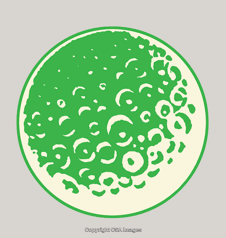 Circular Green and White Abstract Line Art Illustration