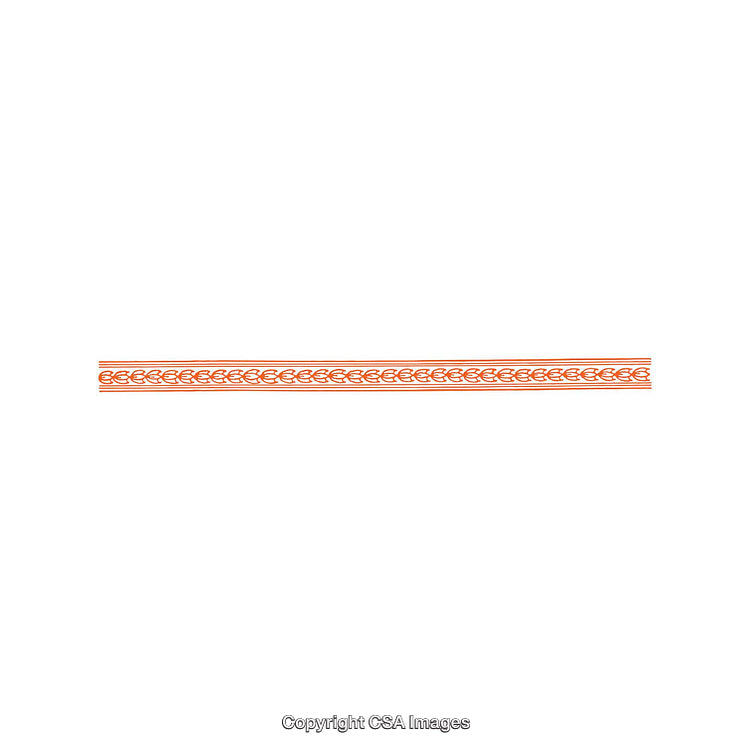 Ornate Decorative Orange Braid Pattern Border on White Background
