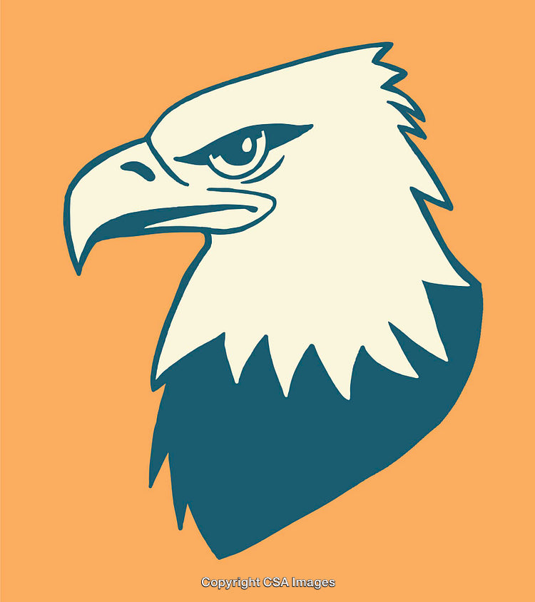 Stylized Line Art Illustration of an Eagle Head on Bright Background
