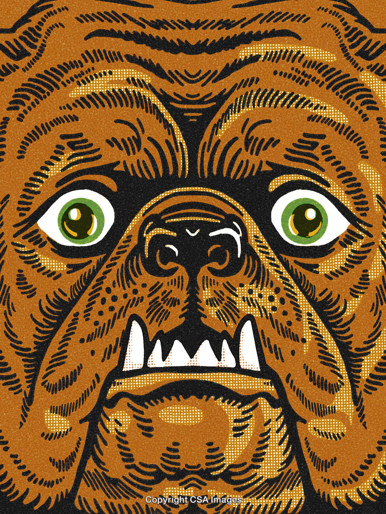 Stylized Illustration of Growling Animal Face With Fierce Green Eyes