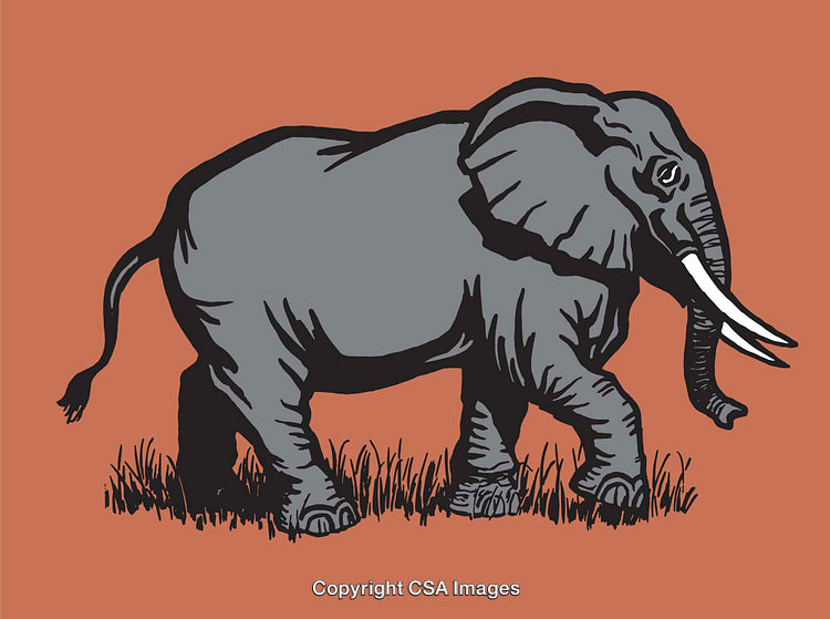 Line Art Illustration of an Elephant on Orange Background
