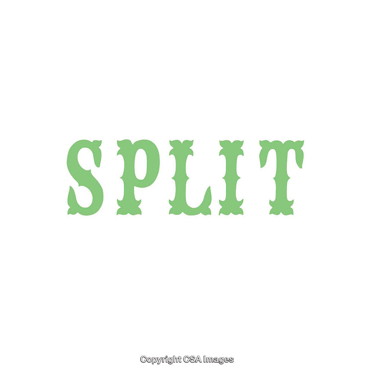 Minimalistic Design Featuring the Word Split in Green on White Background