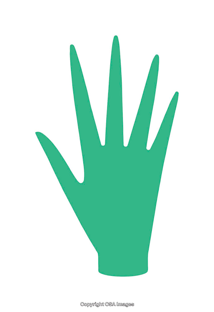 Green Hand Icon with Five Fingers on a White Background