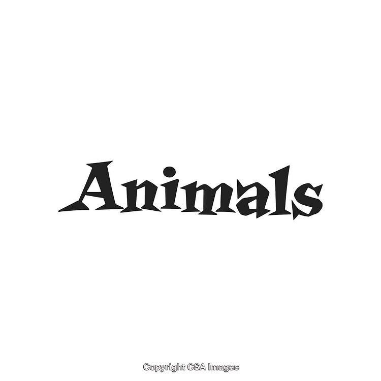 Stylized Black Lettering of 'Animals' on a White Background
