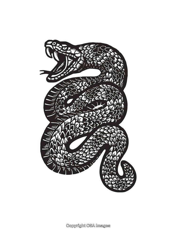 Black and White Line Art of a Coiled Snake with Open Mouth