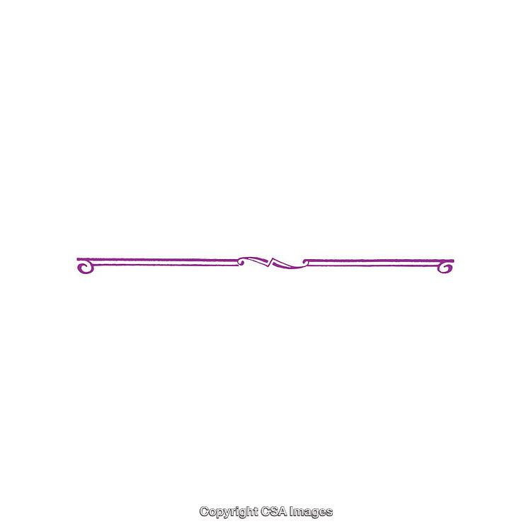 Elegant Purple Swirl Divider For Decorative and Graphic Design Projects