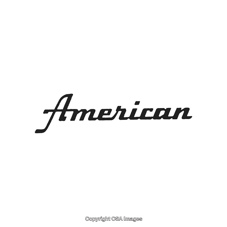 Classic Handwritten Script Spelling the Word 'American' in Stylish Font