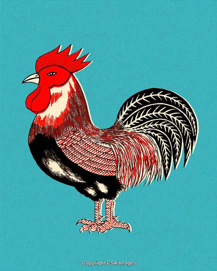 Illustrated Rooster With Vibrant Colors and Detailed Patterns on Blue Background